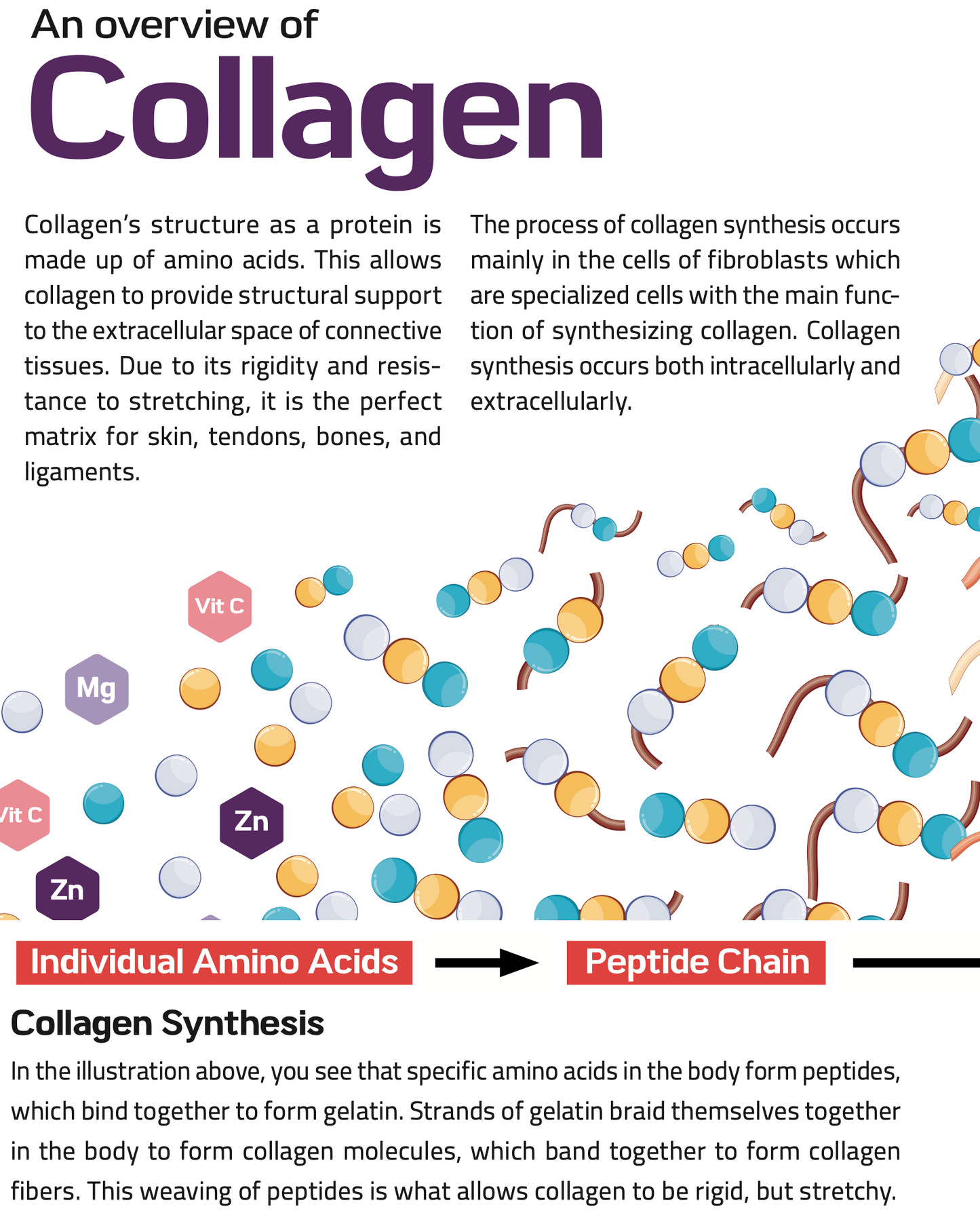 Collagen Connect