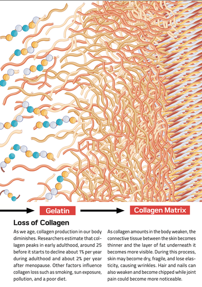Collagen Connect